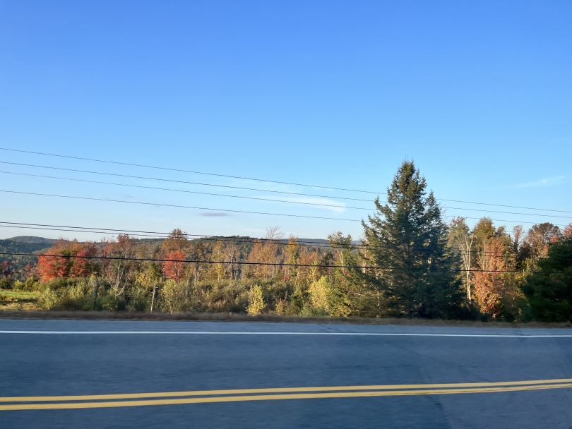 Picture of fall foliage taken out the window of a car on the highway