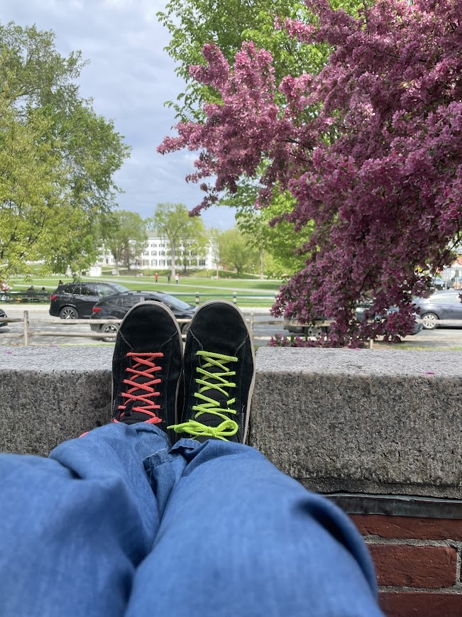 a picture of Kalina's black pumas with a pink tree and the Green in the background