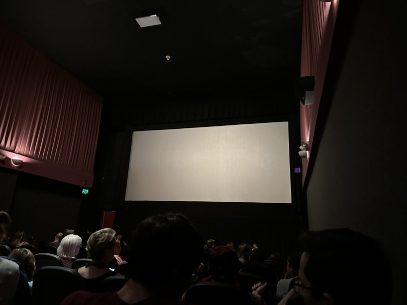 Dark screening room with a soft light that shows the rows of seats 