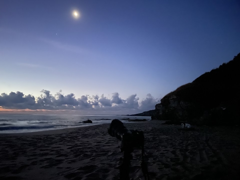 a picture of an almost-sunrise with beautiful clouds over the sea, a camera on a tripod in the foreground, and the moon in the sky