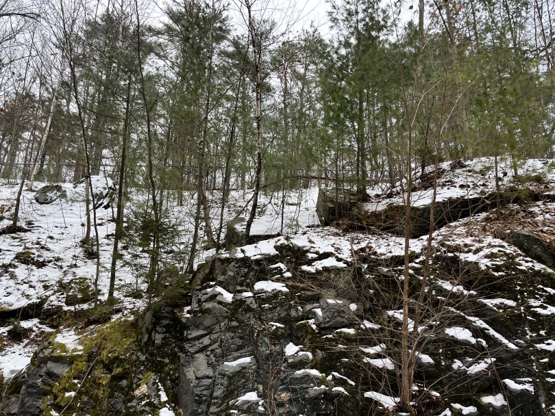 A small forest atop a rocky outcrop, covered in a light dusting of snow