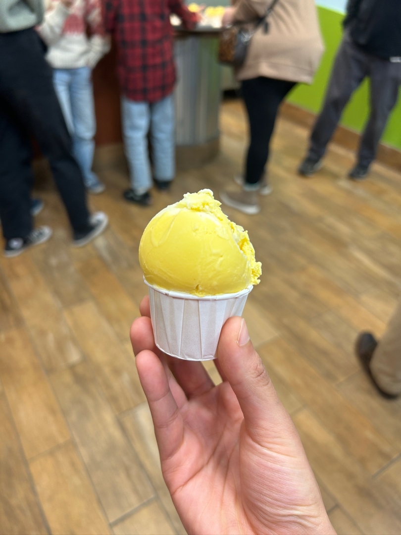 Sample of Mango ice cream