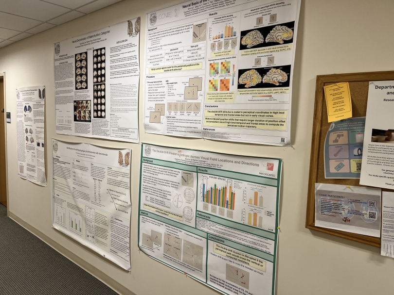 five research posters, each loaded with text line a small tan wall.