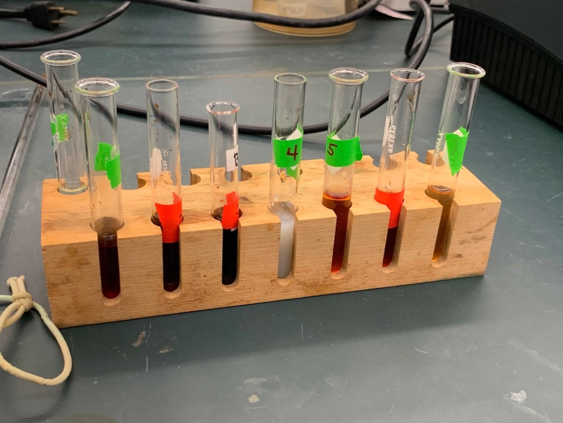 CHEM 5 lab: titrations and pink gradations