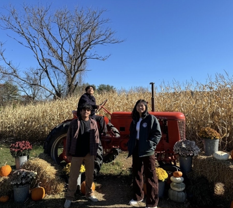 A student taking a picture by a corn maze, with a giant tractor—one student is on the tractor and two standing by it. 