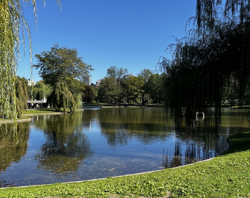 An image of a pond in a Boston Park during the day