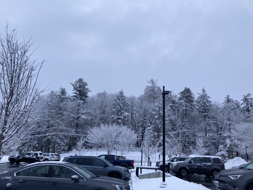 View of forest from Anonymous Hall