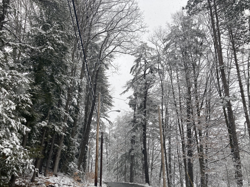 Occom Pond view of trees 