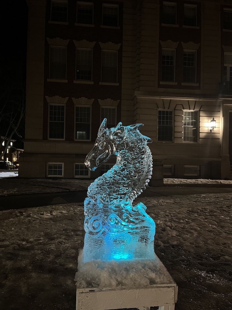 Dragon Ice Sculpture