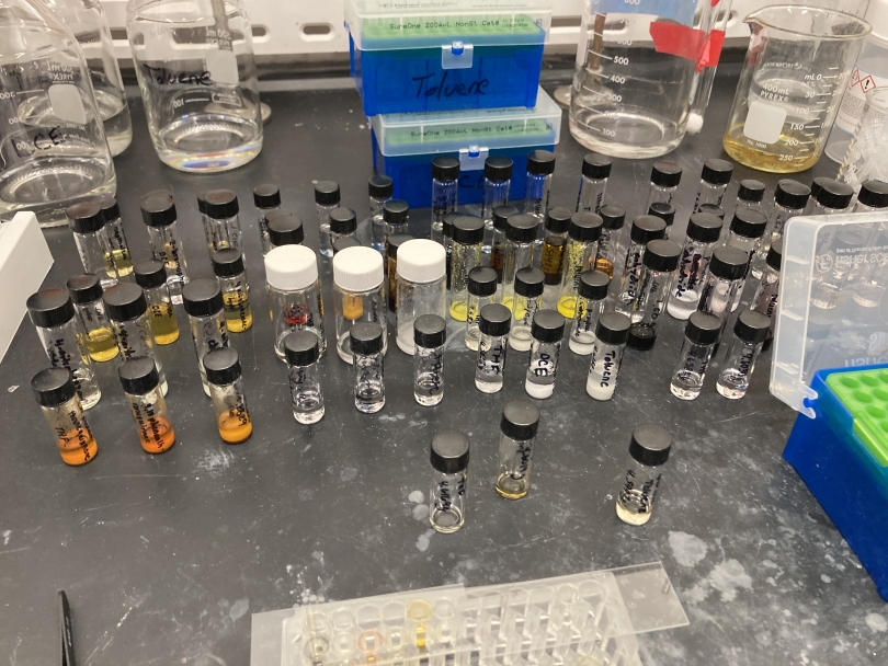 An array of chemical vials in a hood