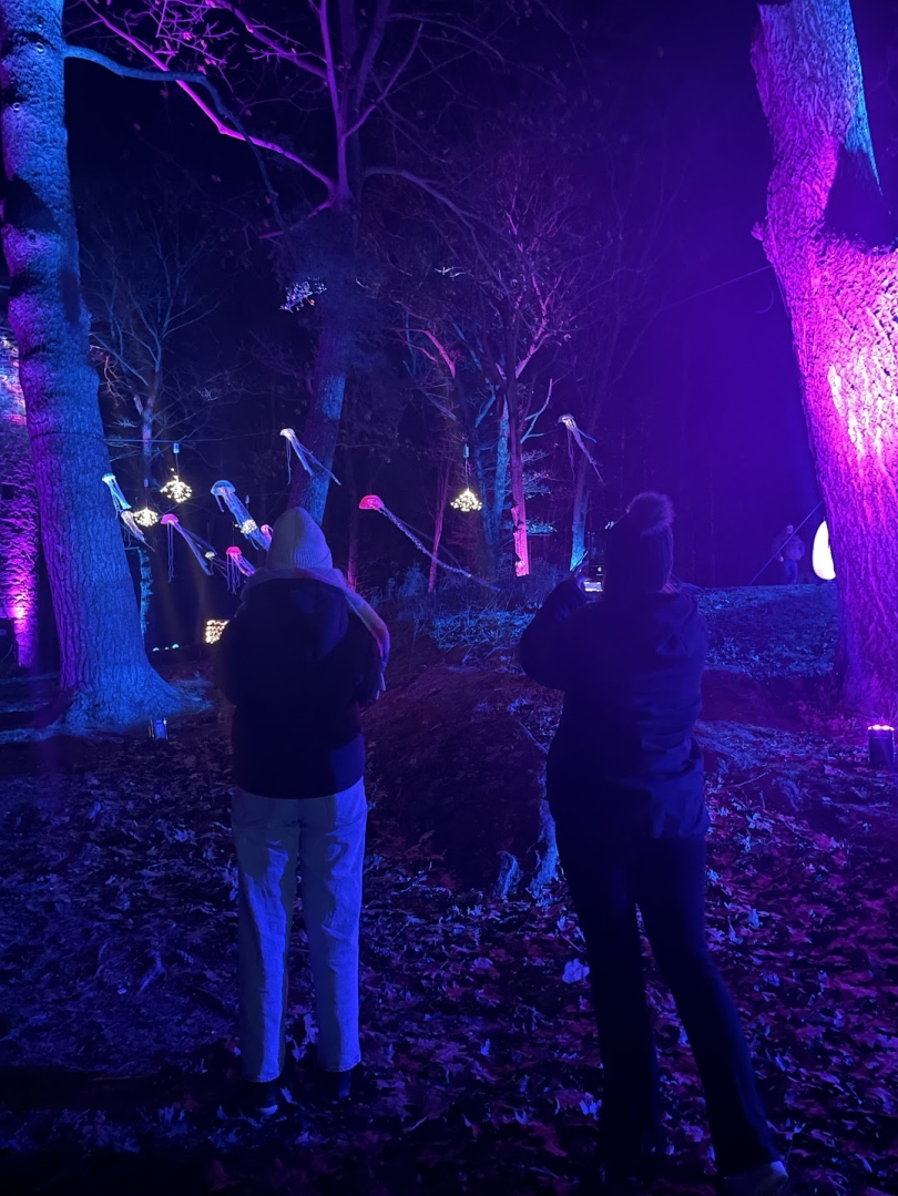 Two girls at an outdoor light show during the evening