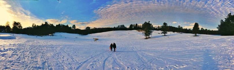 winter landscape
