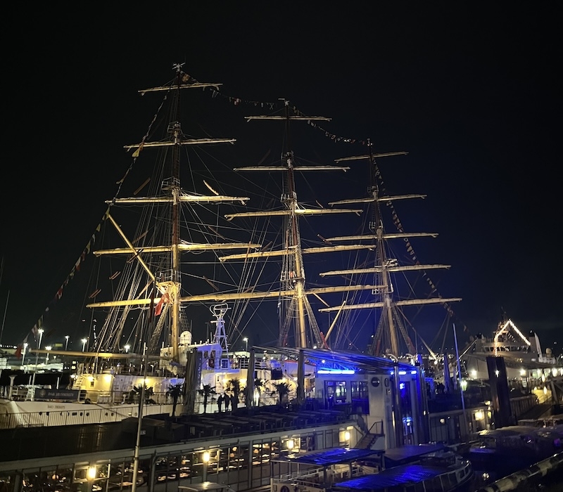 An image of a huge ship lit up at night 