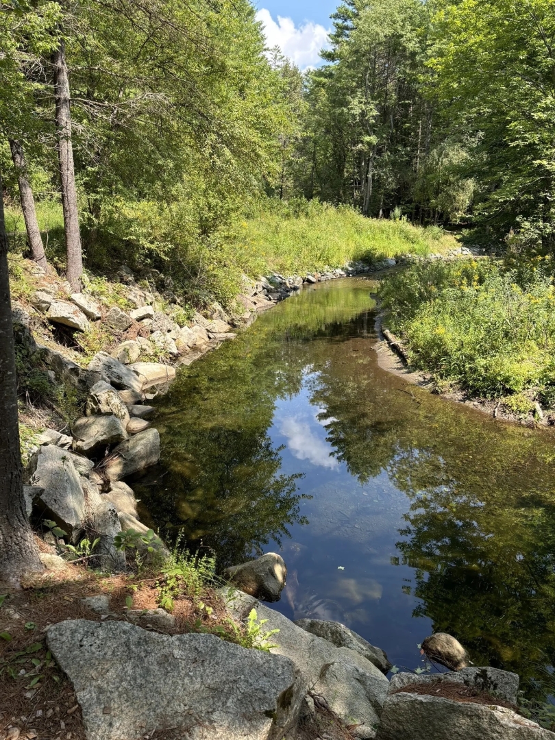 A vertical shot of mink brook, a narrow body of water with rocky banks. 