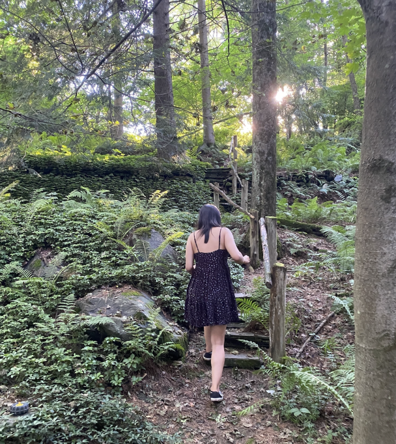 Diana exploring wooden stairs at Nathan's Garden