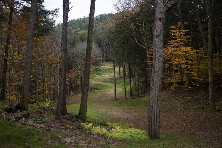 A landscape view of a wide grass path snaking through deciduous trees full of fall colors. 