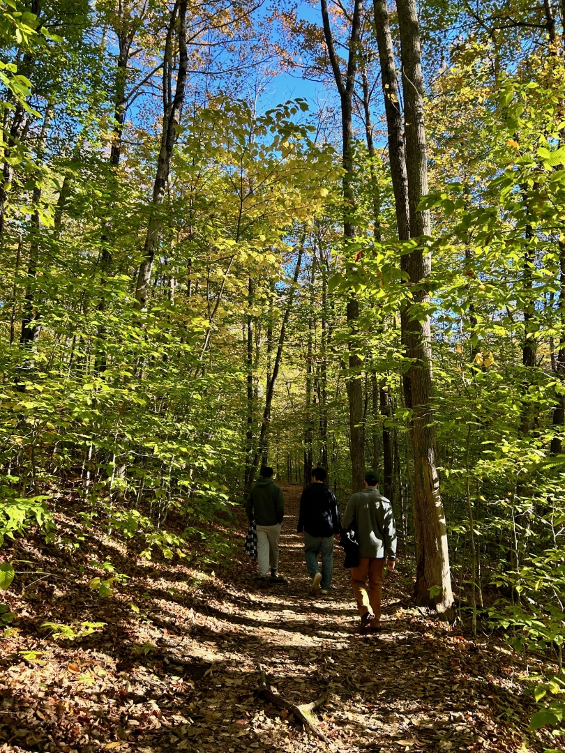 a group of people are walking through a forest. The trees are tall and green, with a blue sky in the back.