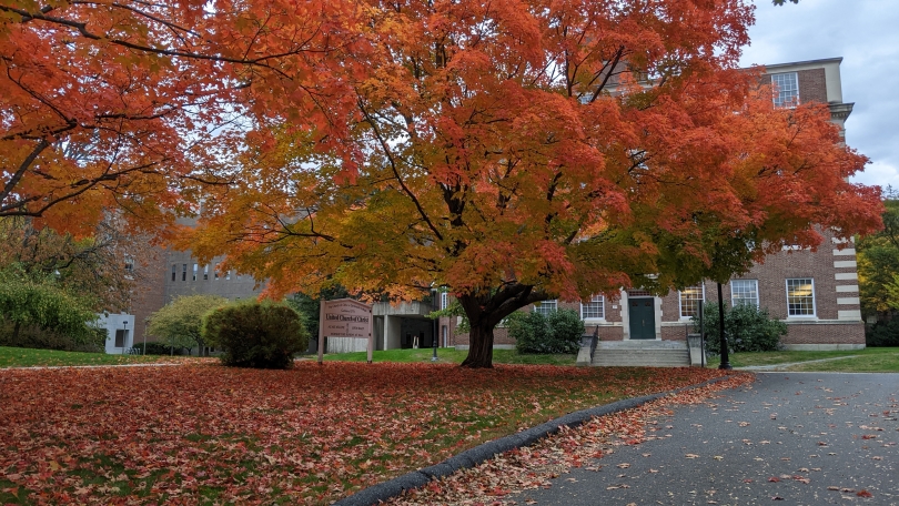 View of a peak-fall-foliage tree just in front of Wilder Hall with beautiful red coloring. 