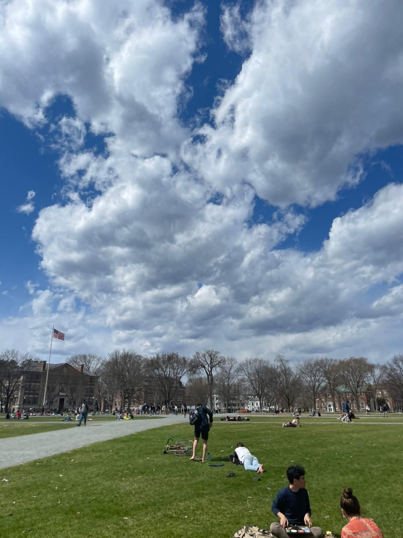 A beautiful day on the green