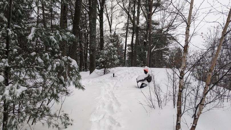 Just enjoying the snow with ol' Robert Frost! 