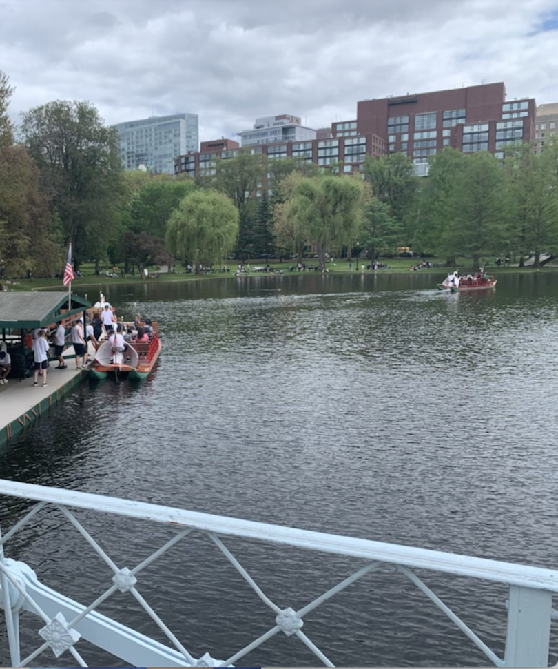 The Famed Boston Public Garden The Famed Boston Public Garden