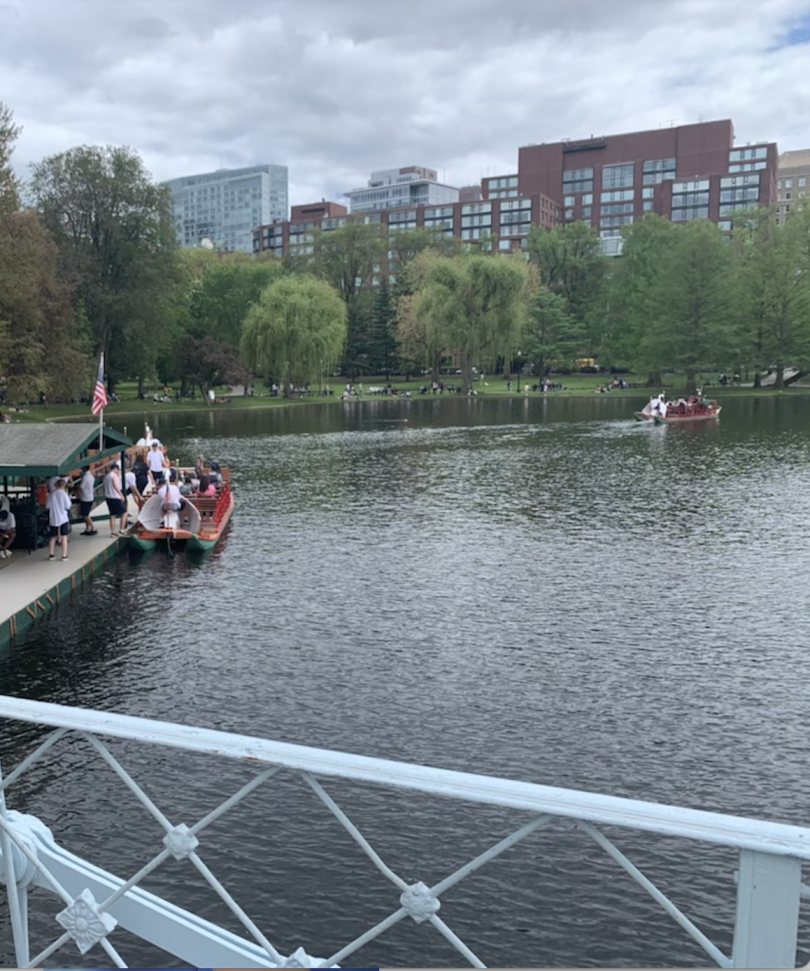 The Famed Boston Public Garden