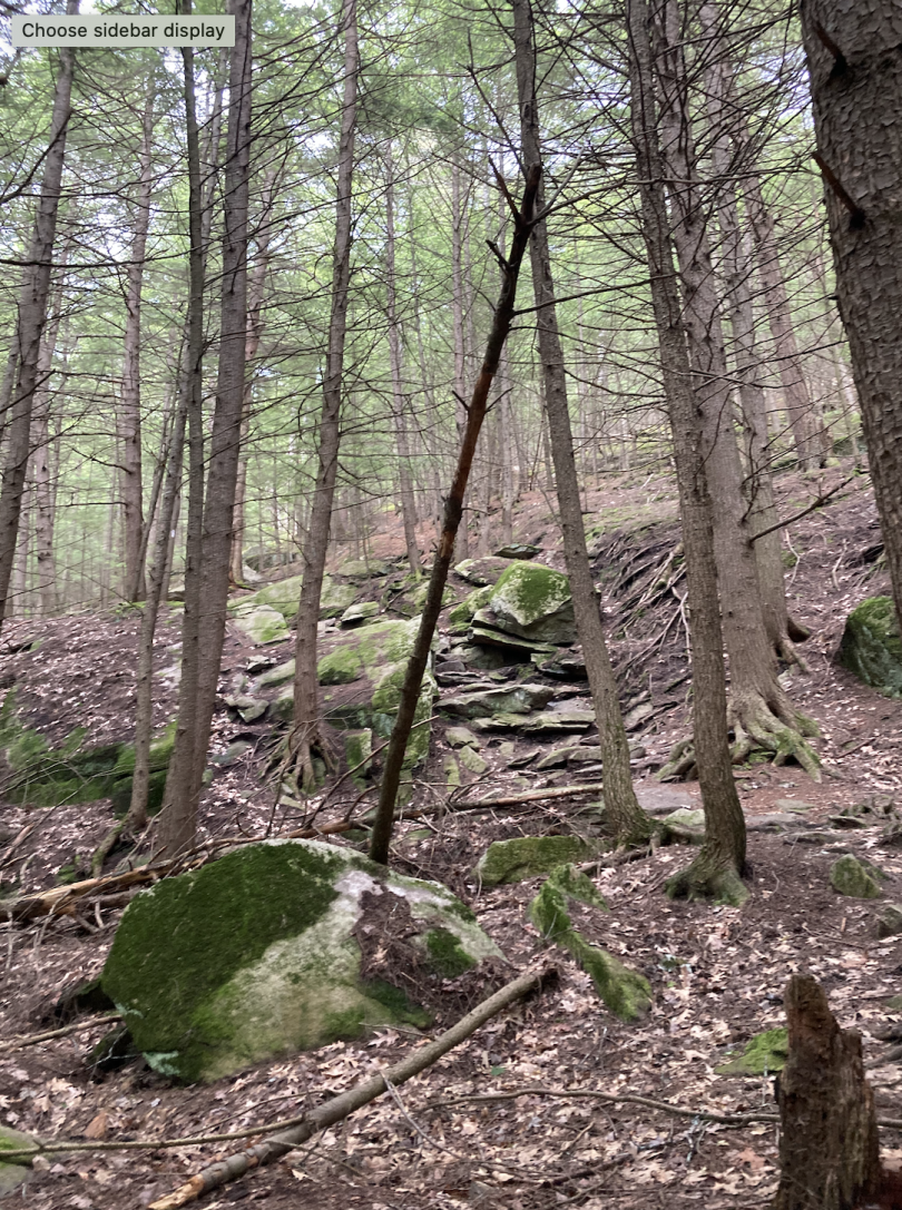 A view from a hike in the Upper Valley