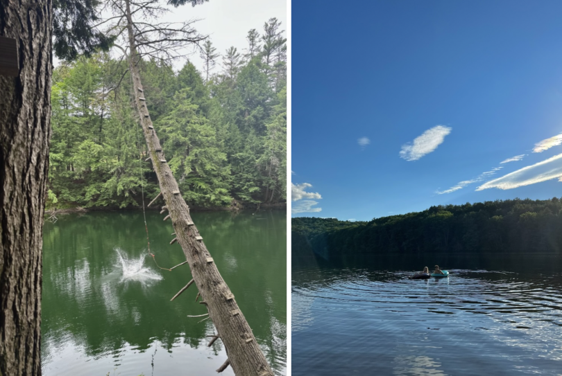 Rope swing