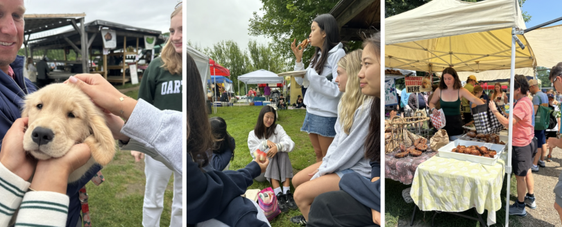 Farmers Market photo