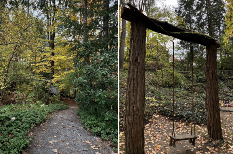The walkway down to the garden. It is early fall, and there are yellow leaves on the trees and the ground. 