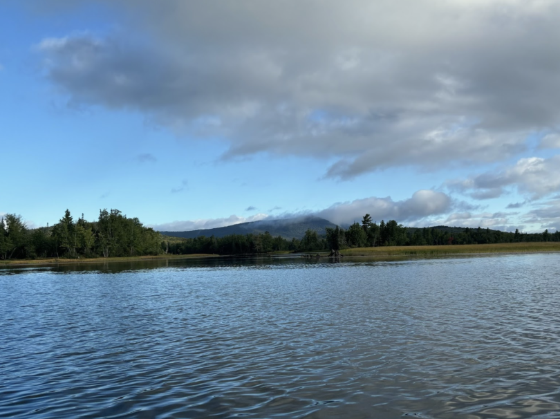 Picture of the grant river featuring a blue cloudy sky, mountains in the background, and multiple pines at the shore.