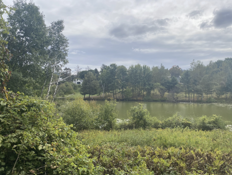 A large pond with lush green trees and bushes around it, blue sky with clouds