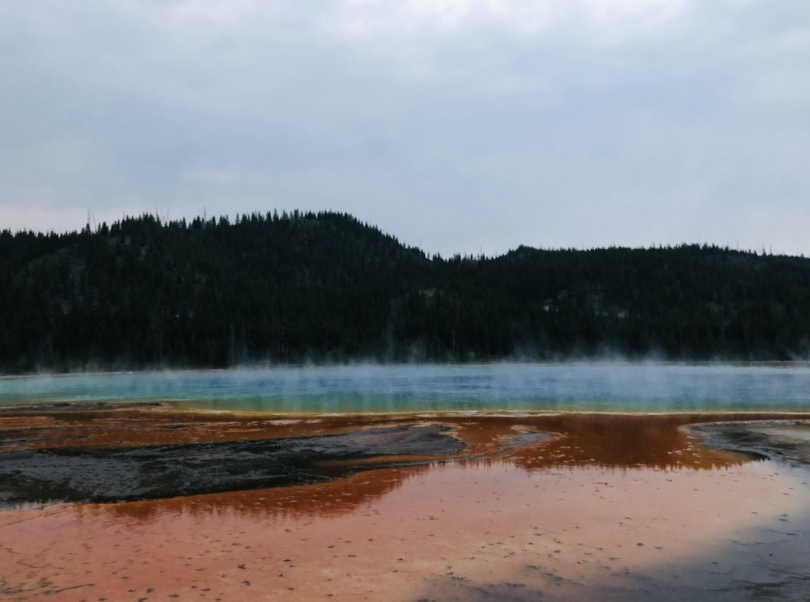 This is a photo of one of the thermal pools I saw while visiting Yellowstone National Park. Steam is coming off the surface of the water and the chemicals turn the surrounding ground different colors. In the background are hills covered with pine trees. 