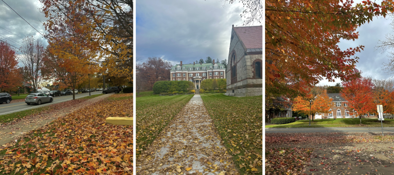  Vibrant fall leaves scattered on the grass and decorating the trees along a sidewalk. The colorful foliage creates a picturesque autumn scene.