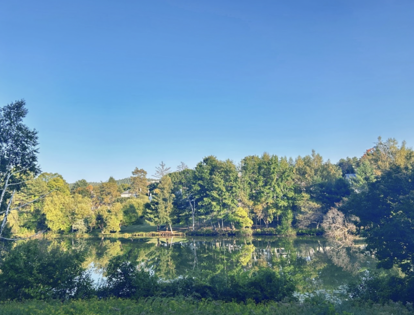Occom pond on a sunny blue sky day