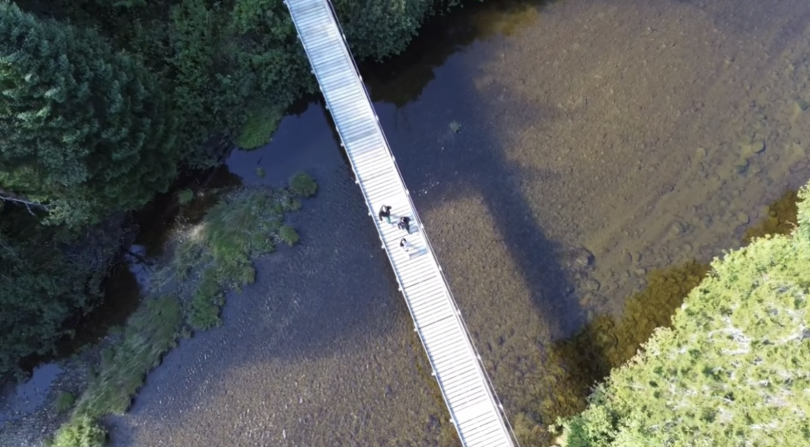 Overhead photo of first year students crossing a bridge