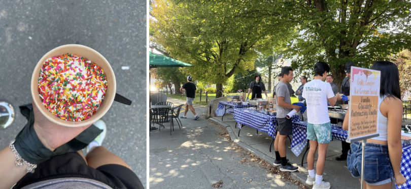 COLLAGE: A bird's eye view of Serena holding her ice cream cup. There are rainbow sprinkles on top of her ice cream scoop. AND A landscape photo with green leafy trees in the background. Along the sidewalk are blue checkered tablecloths where the ice crea