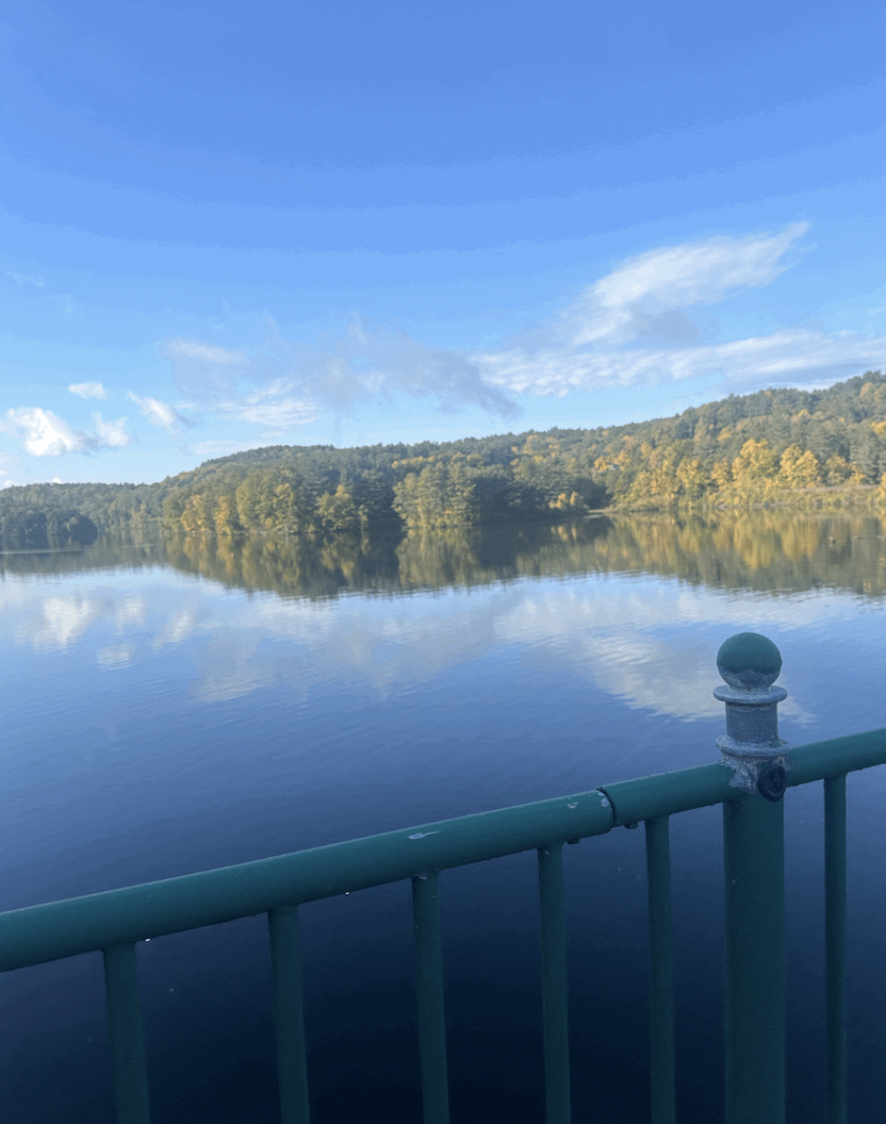 An image of the Connecticut River from behind the bars of a bridge. The edge of the river is a forested area containing trees with green and yellow leaves. There is a reflection of clouds in the water.