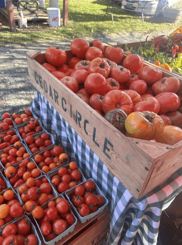 An image of boxes of tomatoes from Cedar Circle Farms. There is one large wooden box with large heirloom tomatoes and multiple smaller boxes containing smaller cherry tomatoes. The boxes are lying on a plaid tablecloth on a stand.