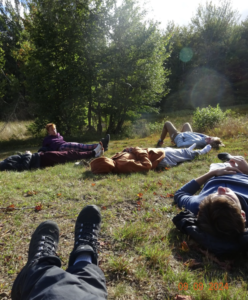 five people lying on the grass and sunbathing on a meadow; there are some trees in the background.