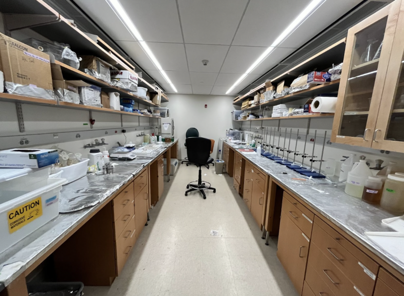 A photo of a mid-size laboratory room. On either side there are long lab benches covered in equipment and containers of chemicals.