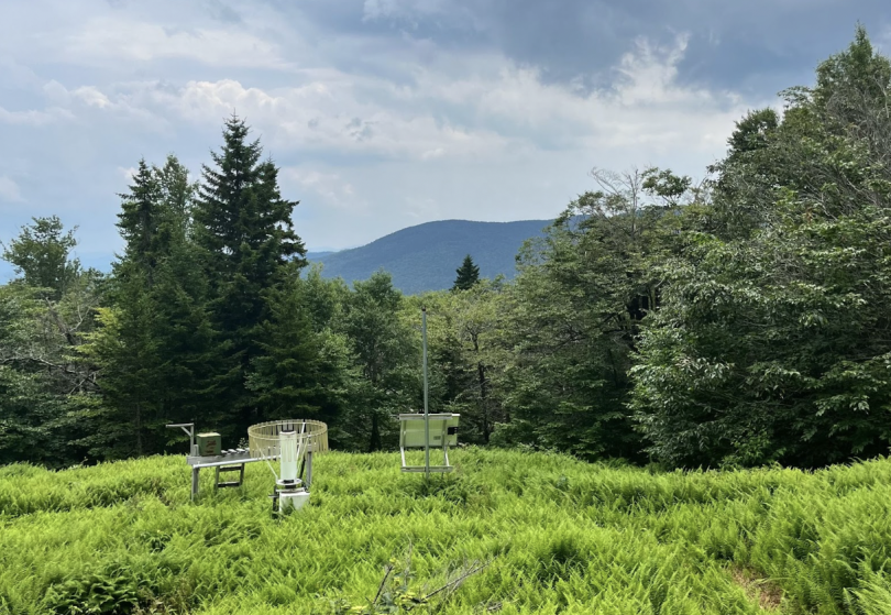 A picture of a hillside covered in ferns. Far in the background, you can see another large hill and a massive pine forest. Rested among the ferns are several large pieces of research equipment.