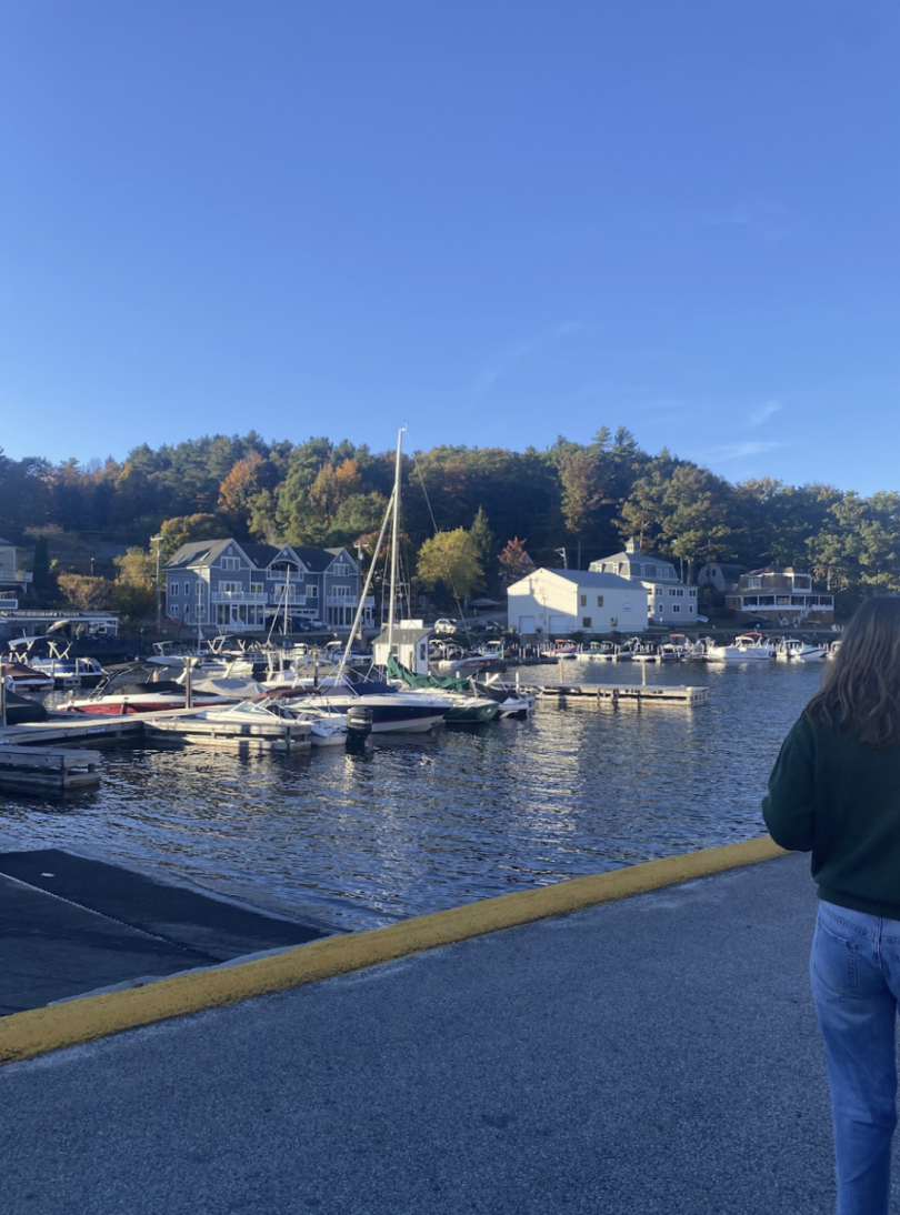 A lakeshore port with many bongs along the dock. Houses and trees in the back.