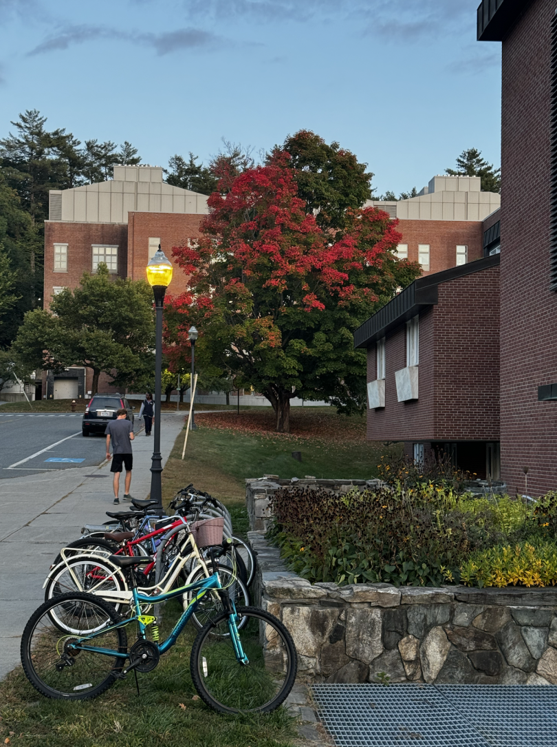 Picture of a tree during the fall. The leaves of the tree are changing from green to red and orange. There are buildings in the background with a clear sky in the afternoon.