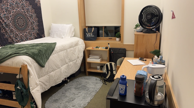 Picture of my first-year dorm containing a bed, a carpet, my desk, a mini fridge, and several other personal items.