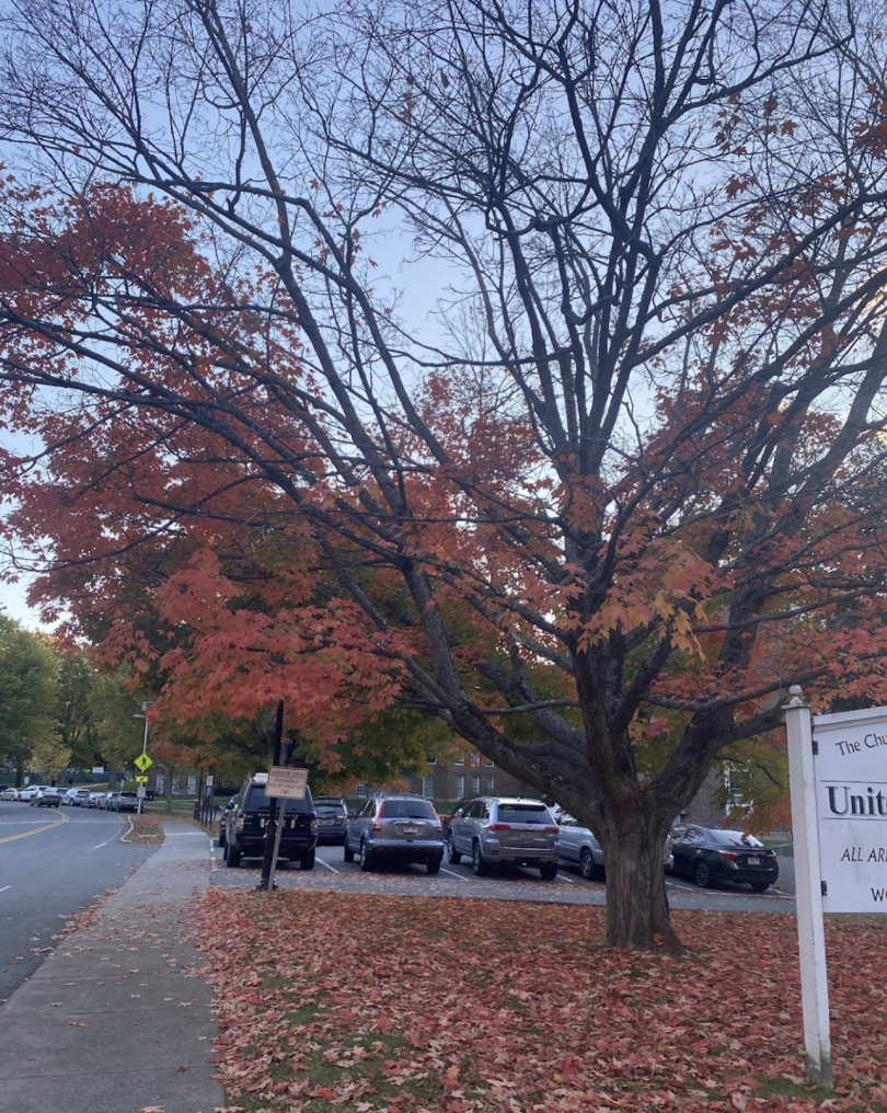 church foliage