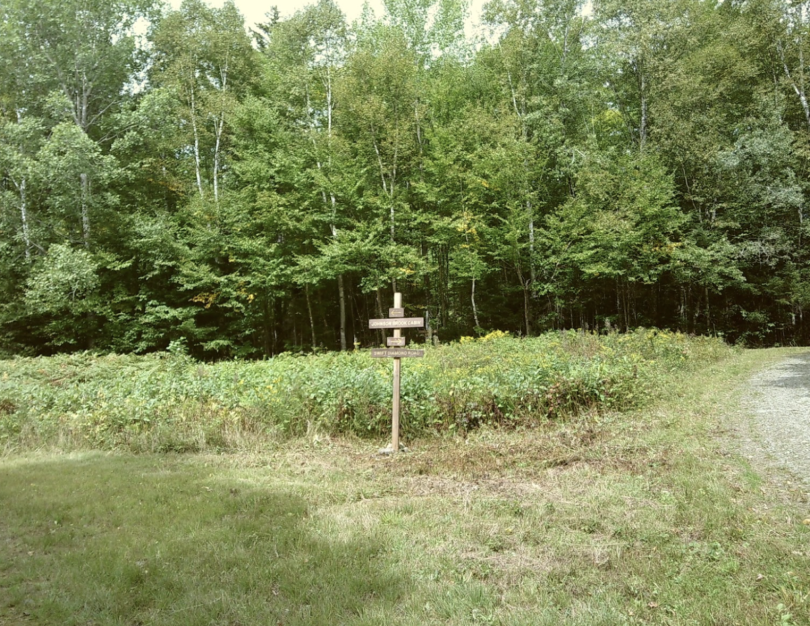 sign on the grant