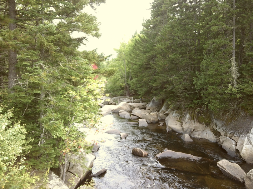 Johnson Brook