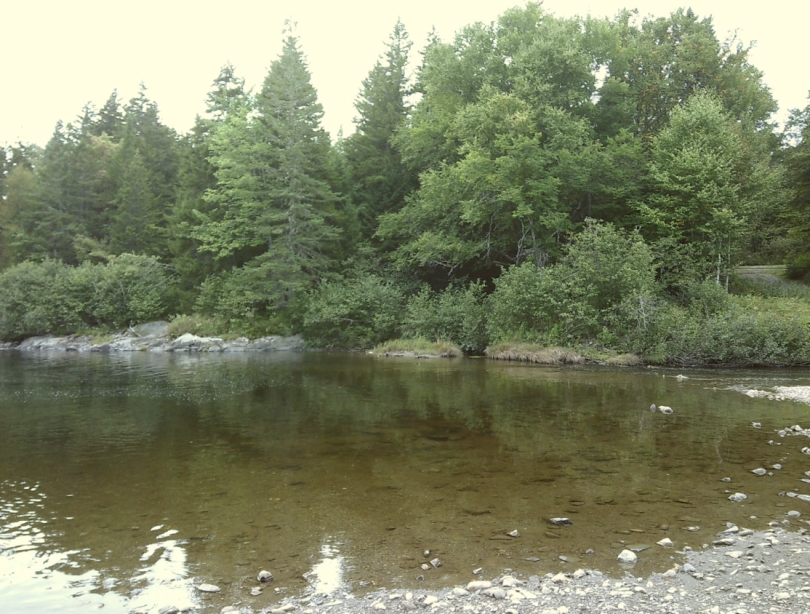 Here's a picture of Hellgate!