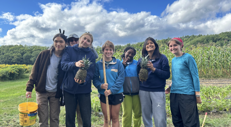A group photo of the members of our trip, holding two pineapples